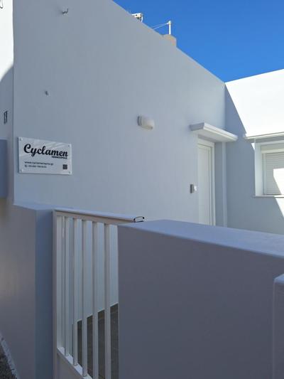 Cyclamen Hermoupolis