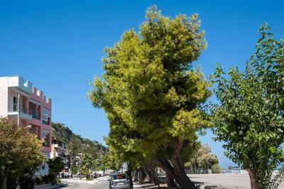 Emmeleia Sea View Suite