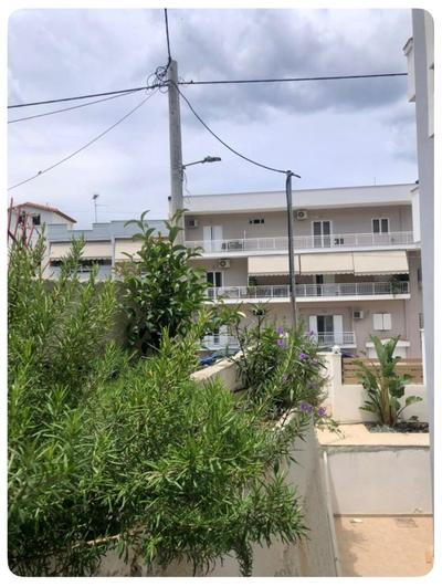 Rosemary modern house in the city center