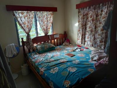 Highlands Homestay Fiji - view 5