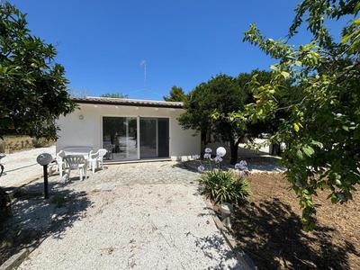 Tenuta Pizzi