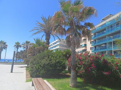 Vista del Mar