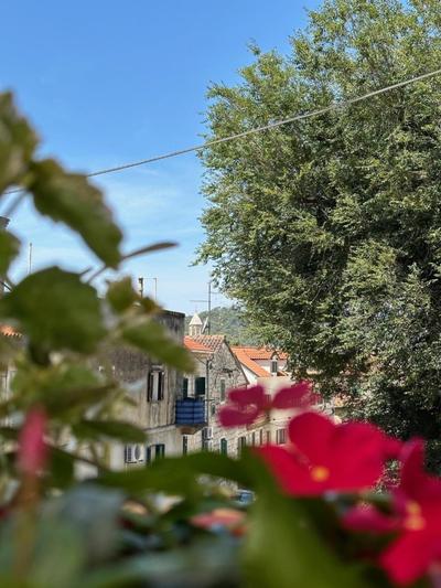 Apartmani IvAn