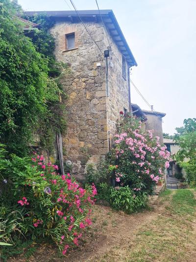 Wunderschöne Ferienwohnung am Bolsena See in Grotte di Castro