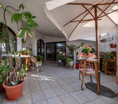 Dolfi Grand Loft