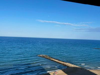 Paz y relax junto al mar