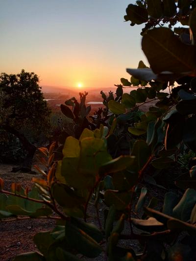 Ronnavona Casa Vacanze B&B