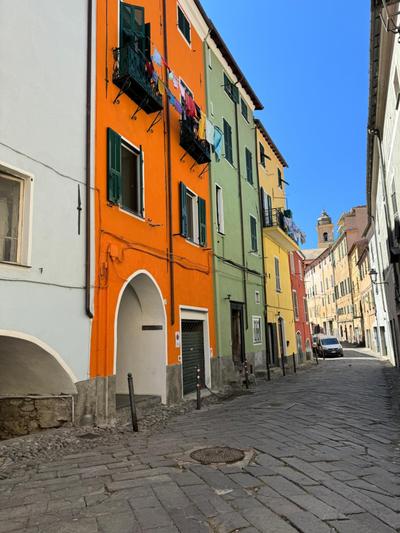 Fiori di ulivo