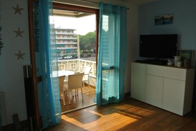 Gardenia 11