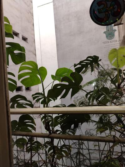 Departamento en recoleta