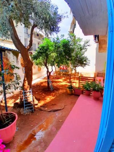 Greekhouse Aris Mado Zoe