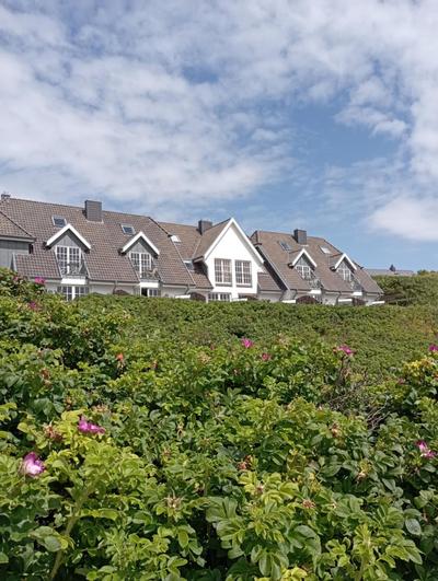 ApartHotel Seepferdchen