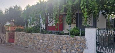 The Holiday House