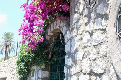 La Bouganville Capri