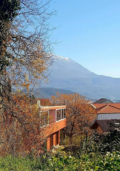 Villa Bambooka