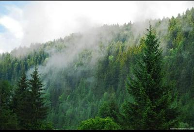 sdayotsya v gostinice po sutochno apartament v stile studio v M-25