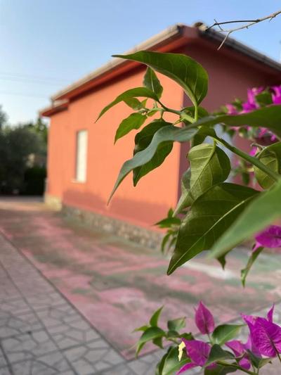 Cataleya Guest House