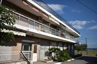 Sunny Beach Front Apartment
