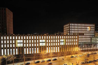 Hippocampus apartment