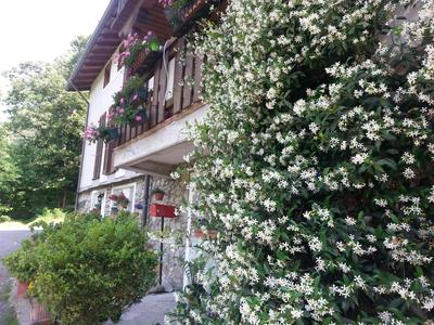Casa Del Viandante Home Holiday and Rooms