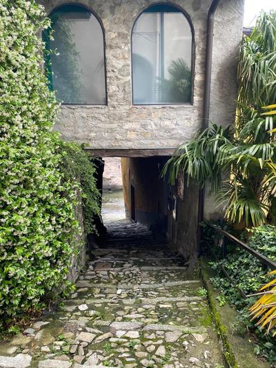 Il giardino sul lago