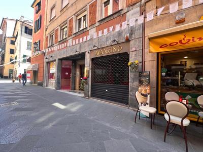 WELCOME RIVIERA - POSADA DI VIA MAZZINI, Central apartment with elevator, Wi-Fi, air conditioning, and, depending on availability, a private garage 800 met