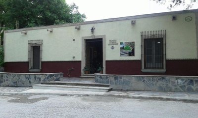 MVO parras