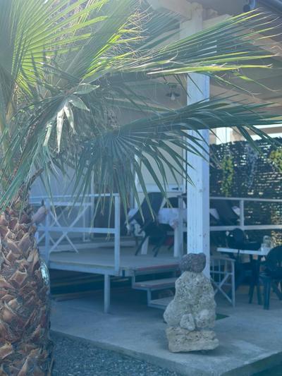 Kreusa club