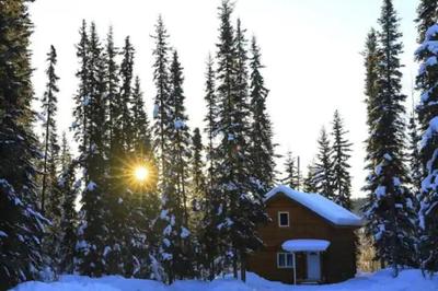 Cabin in the woods Fairbanks, Alaska, United States