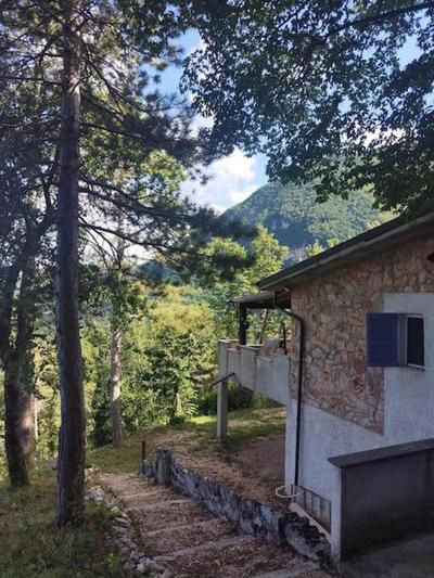 L'Angolo nel Bosco