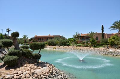 Palmeraie Stay - Pool & Lake