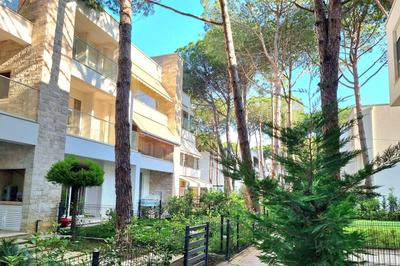 Swiss Sweet Apartment 297 - Happy Rentals