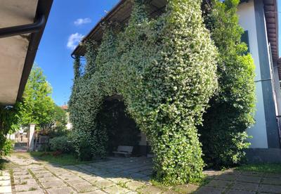 Appartamento Il Gelsomino
