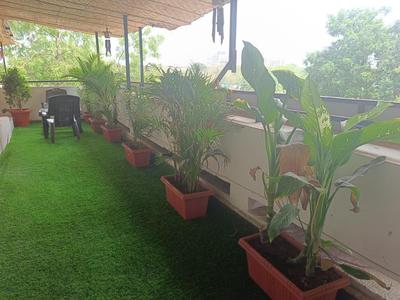 Hotel Green Park - Sector 11
