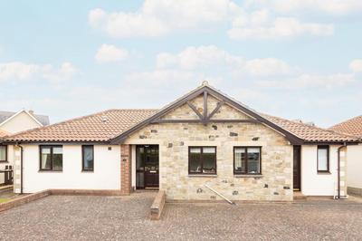 Host & Stay - Hedgehope