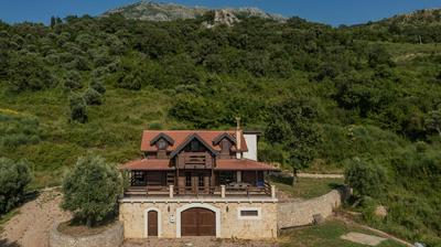Panora Oliva