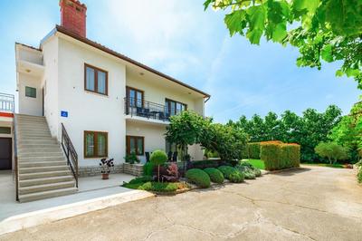House Demetra by Briskva