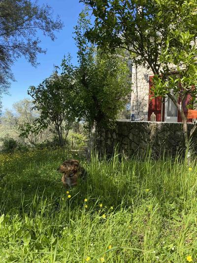 Stone House In Katouna With Garden