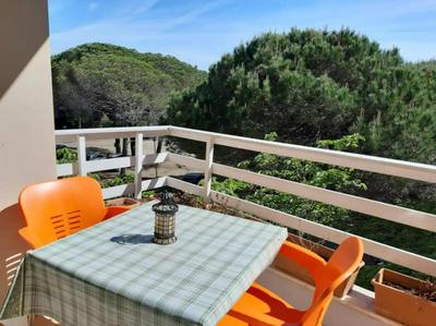 Pine-hugged beach apartment