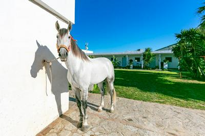 Casa rural terraza privada II