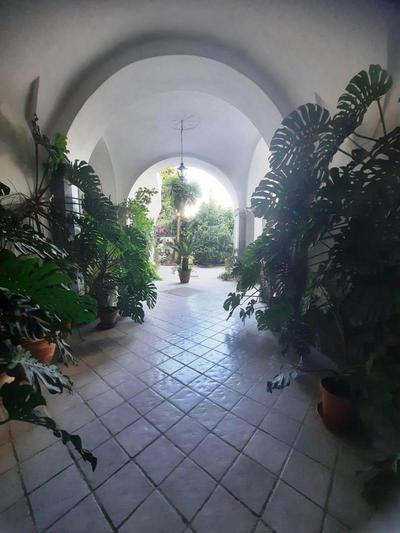 La casa delle Camelie