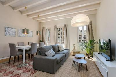 Historical Apartment With Awesome Rooftop