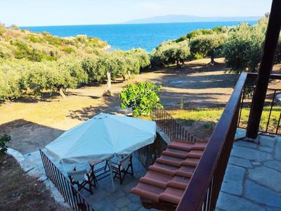 Olive By the Sea