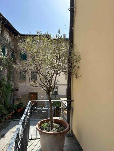 Casa Brunilde