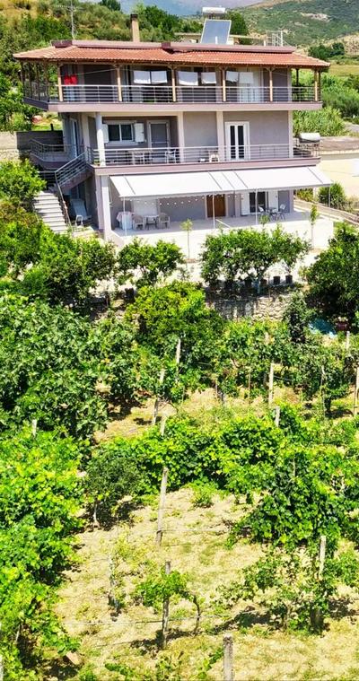 Toma's Guest House