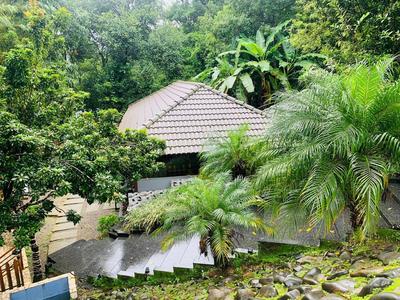 The Mountain Shades Resort