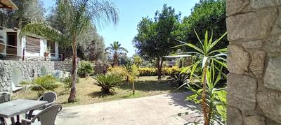 B&B Carpe Diem Domus