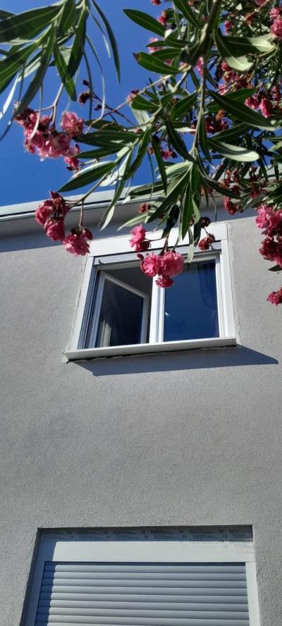 Apartman Vito