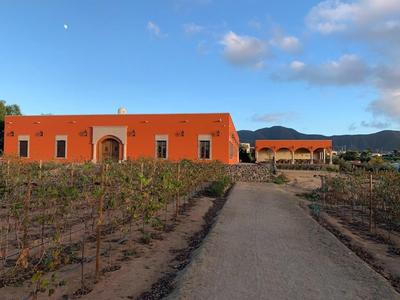 Hacienda Maria Trinidad