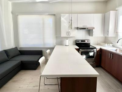 Brand New Modern Laneway House